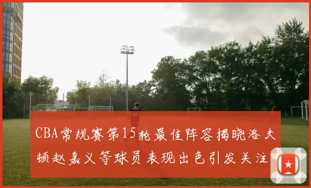 CBA常规赛第15轮最佳阵容揭晓洛夫顿赵嘉义等球员表现出色引发关注