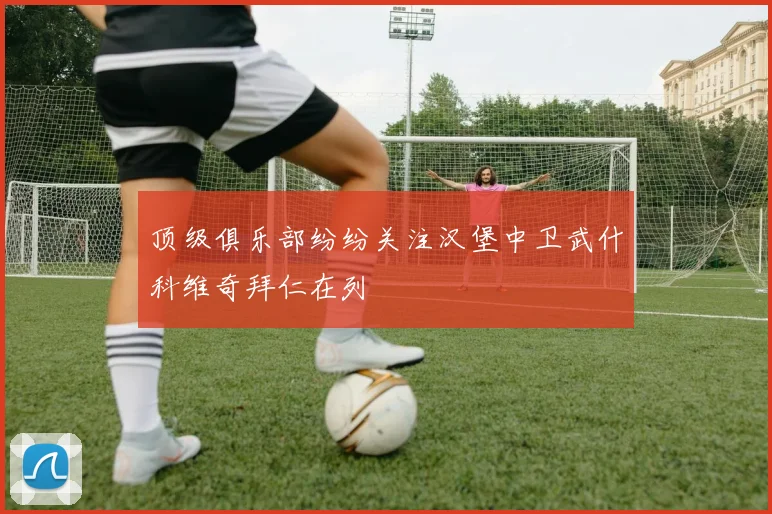顶级俱乐部纷纷关注汉堡中卫武什科维奇拜仁在列
