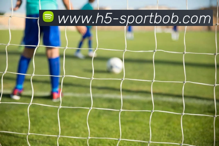 BOB体育品牌故事